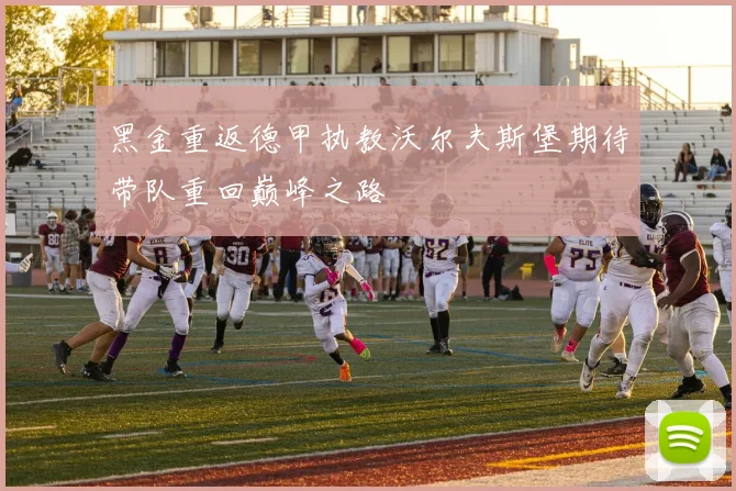 黑金重返德甲执教沃尔夫斯堡期待带队重回巅峰之路