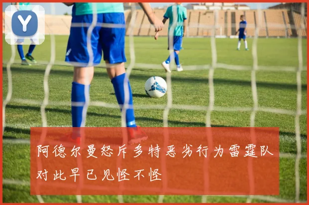 阿德尔曼怒斥多特恶劣行为雷霆队对此早已见怪不怪