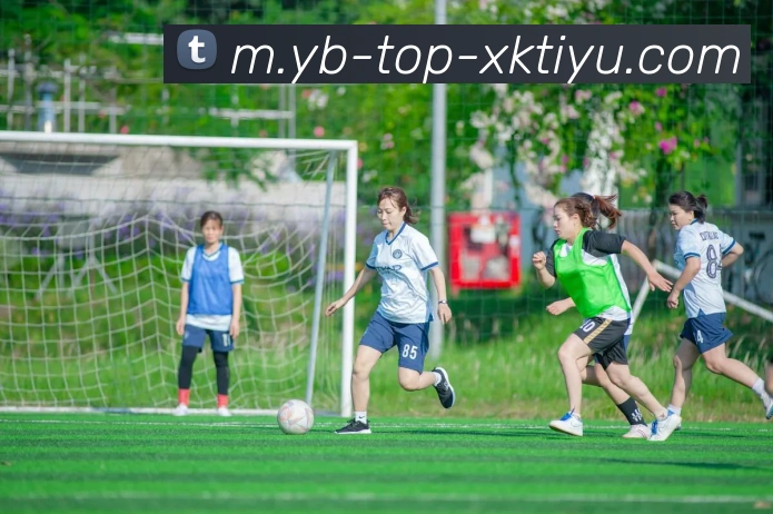 星空体育APP 体育赛事宣传图